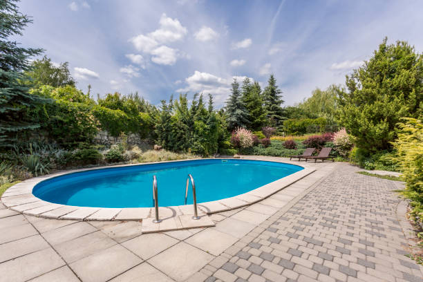 Oval swimming pool in a garden area, surrounded by plants Arizona